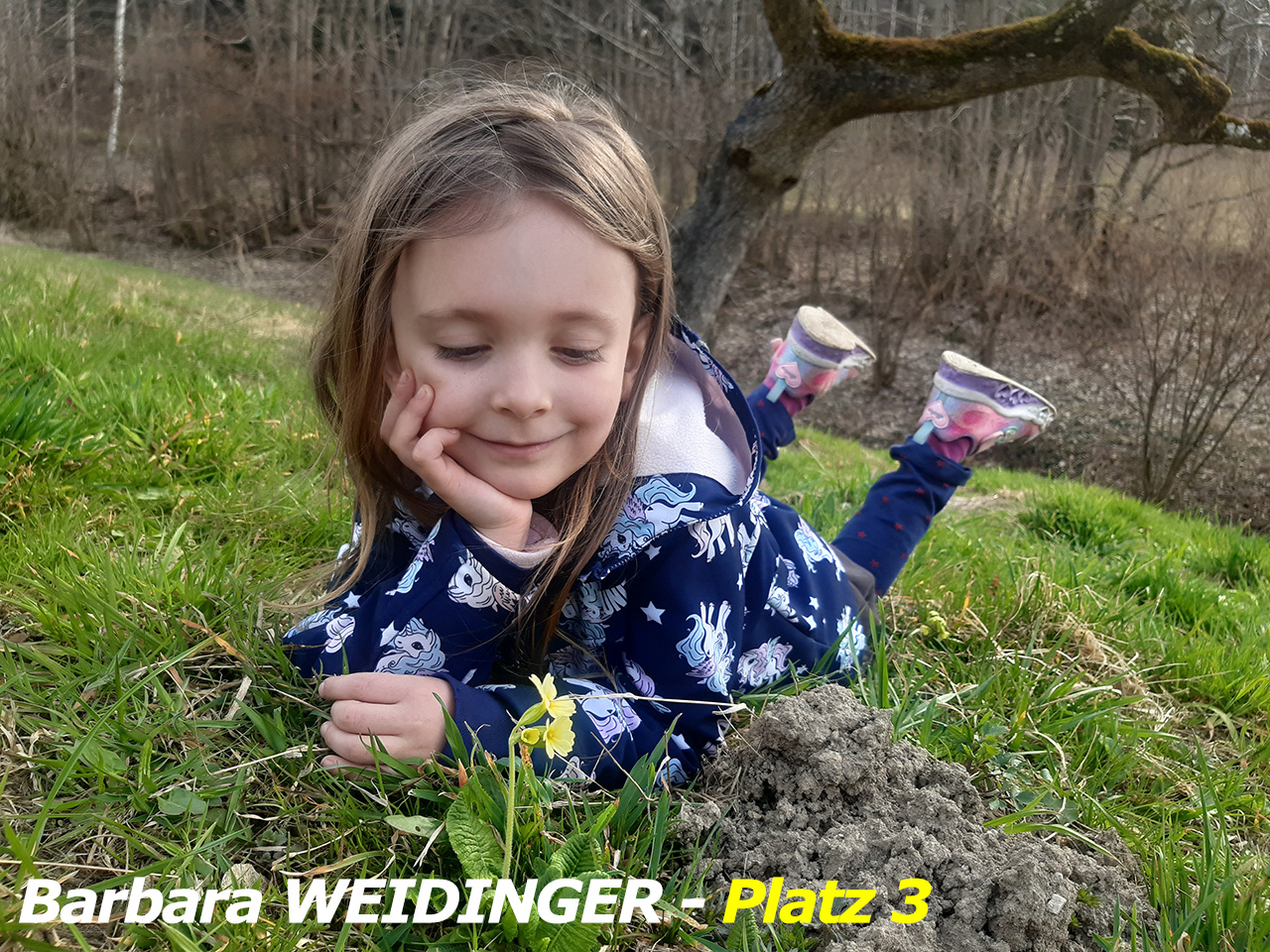 WEIDINGER_Barbara_Pl_3