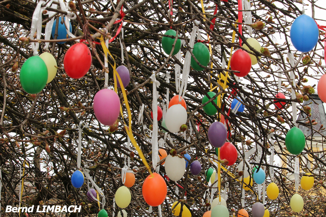 Limbach B - Kunterbunt 2 web