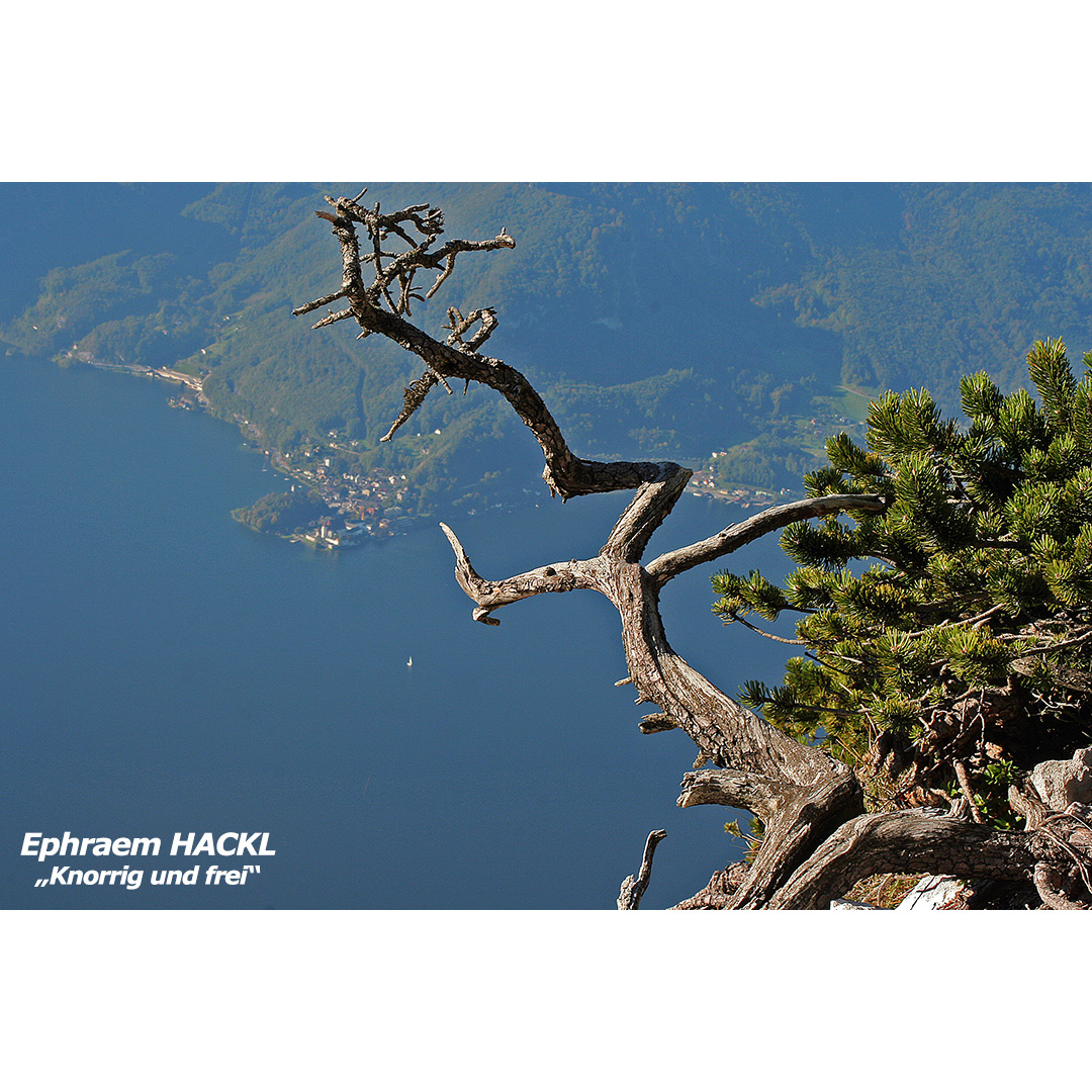 HACKL Ephraem - Knorrig und frei - web