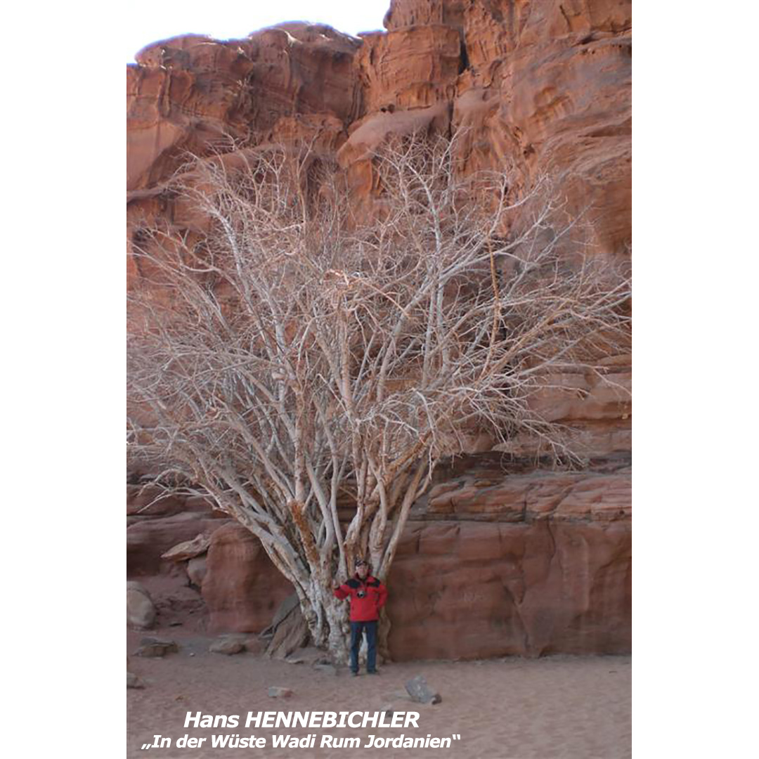 HENNEBICHLER Hans - In der Wüste Wadi Rum Jordanien - web