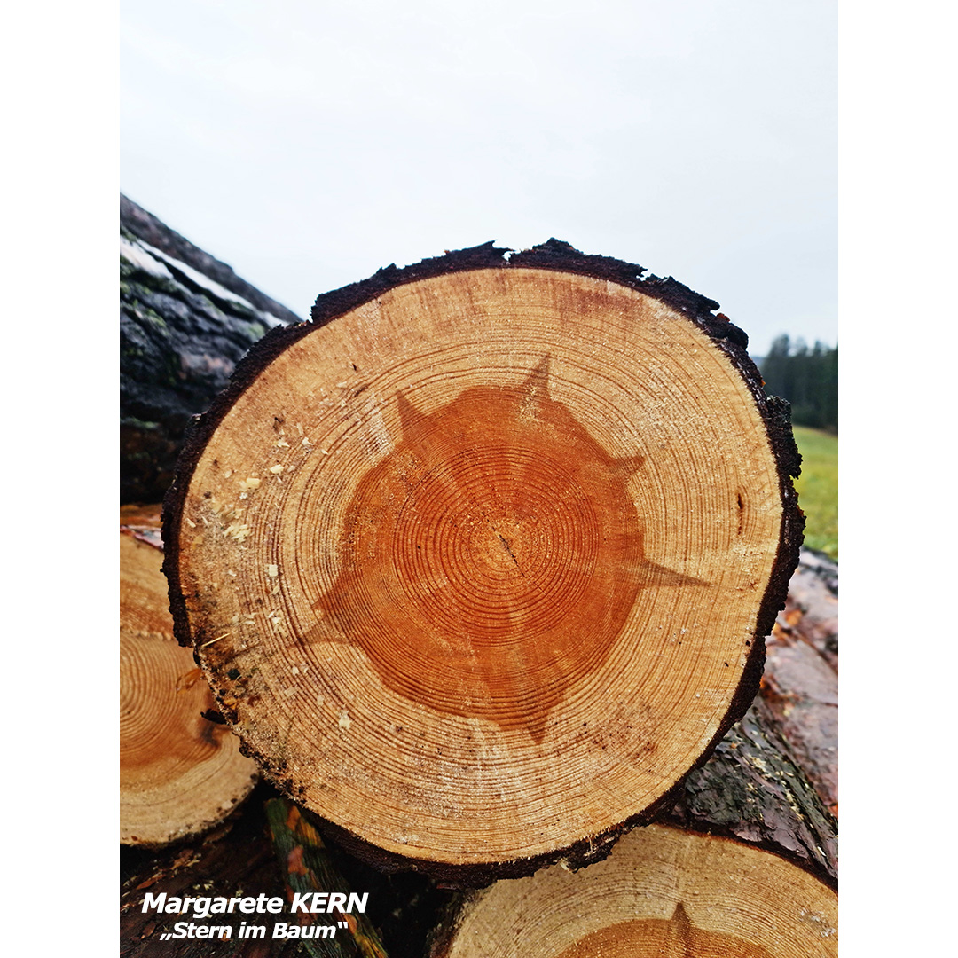 KERN Margarete - Stern im Baum - web