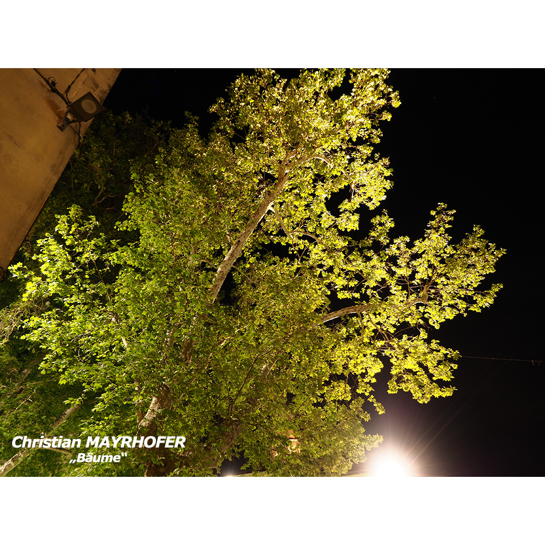 MAYRHOFER Christian - Baum - web