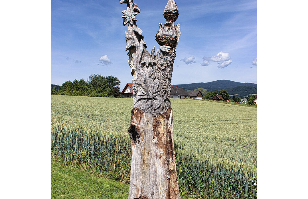 Christian Nöbauer - Einst war ich ein stolzer Baum