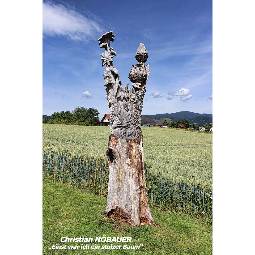 NÖBAUER Christian - Einst war ich ein stolzer Baum - web