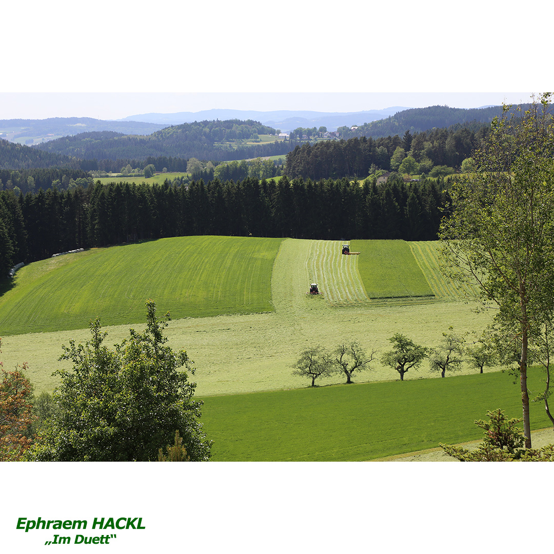 HACKL Ephraem - Im Duett - web