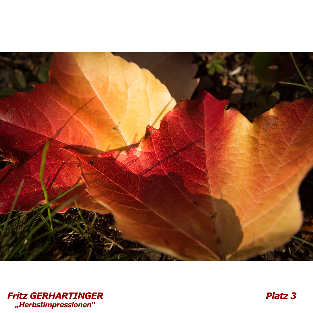 Platz 3 - Fritz GERHARTINGER