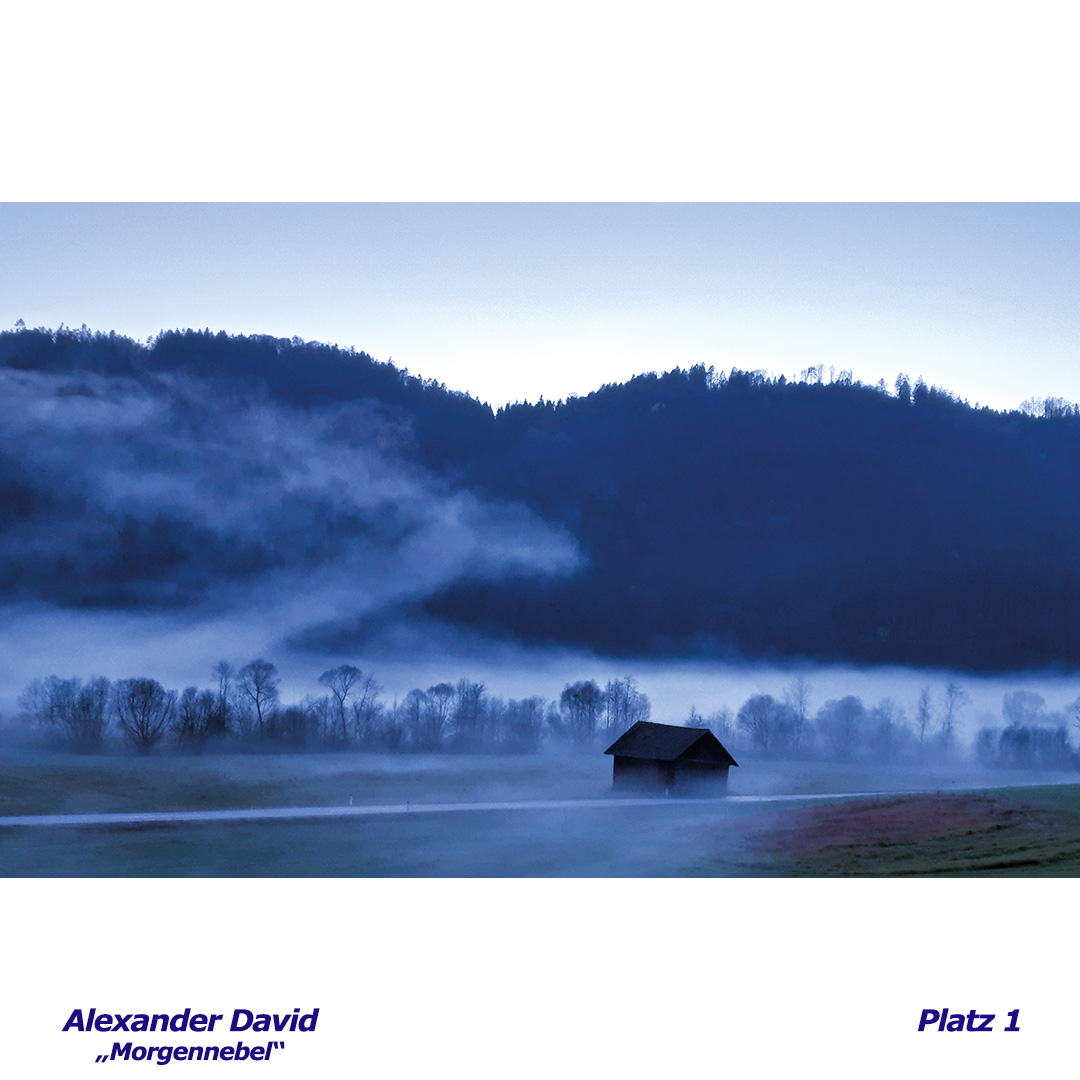 01 david alexander - morgennebel - web