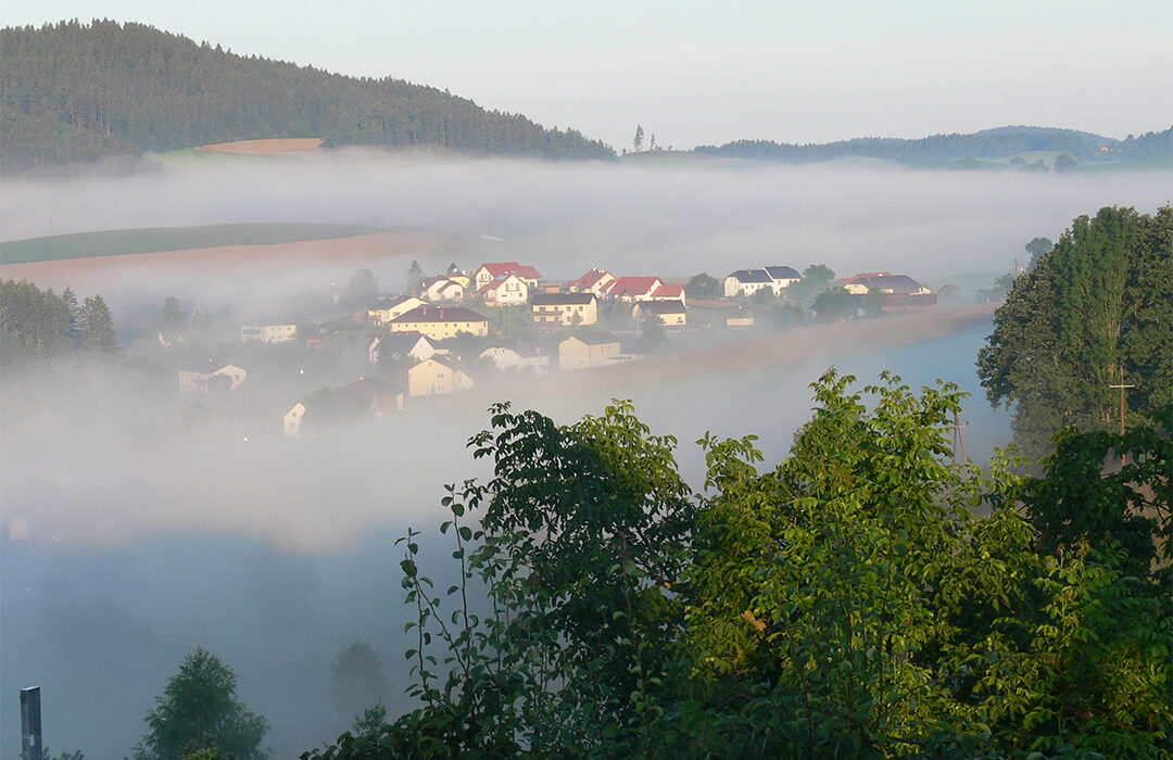 Platz 2 - Rosi Hennebichler - Edt im Nebel