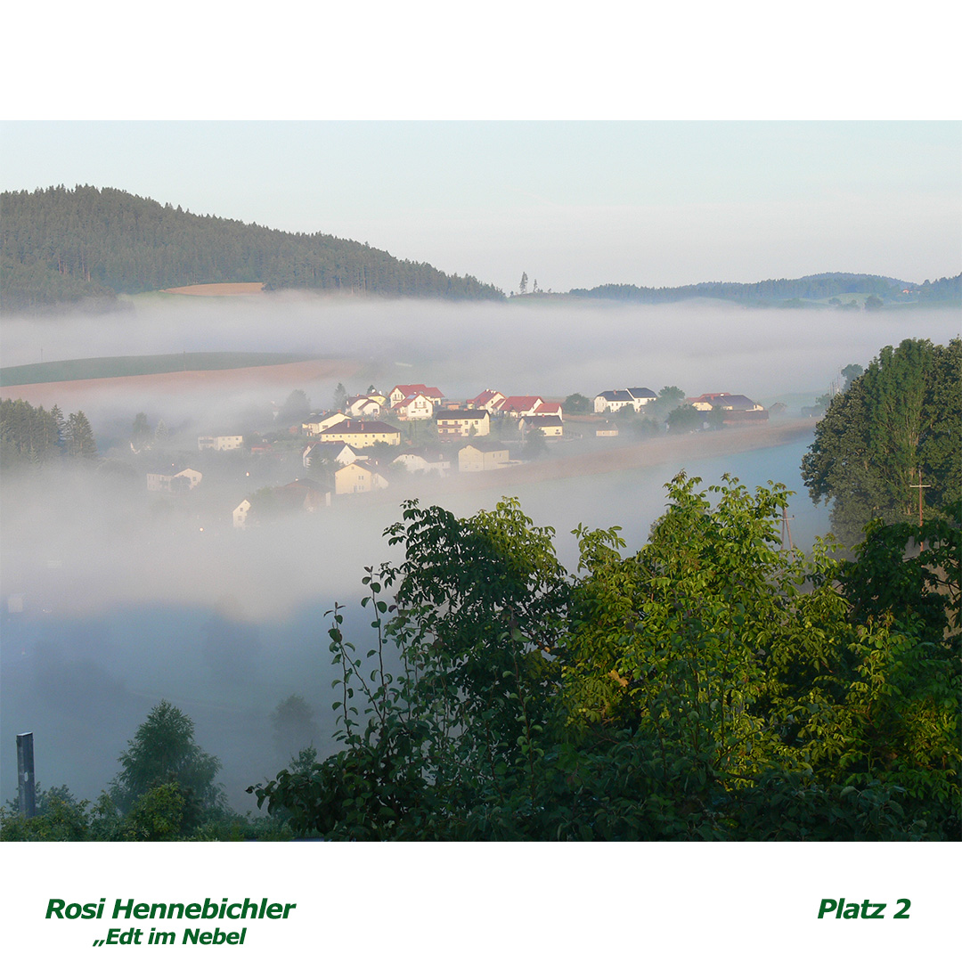 02 hennebichler rosi - edt im nebel - web