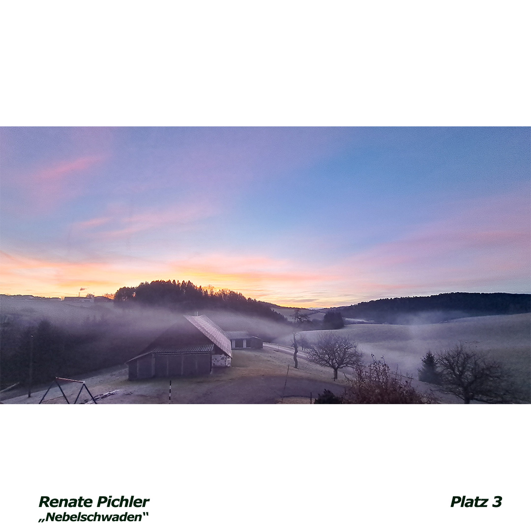 03 pichler renate - nebelschwaden - web