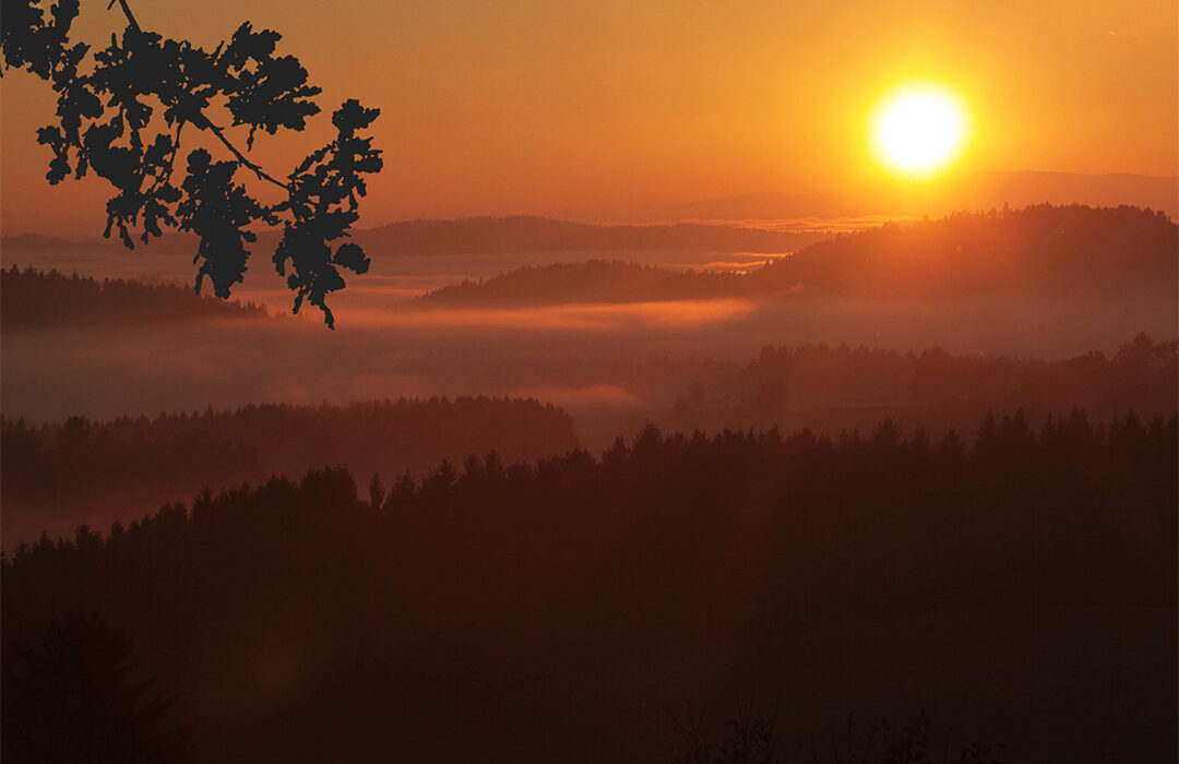 Ephraem Hackl - Abendnebel