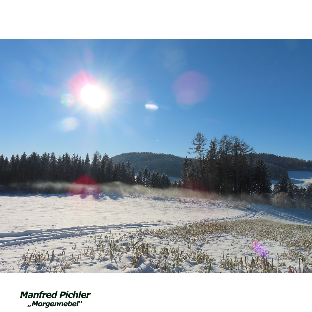 pichler manfred - morgennebel - web