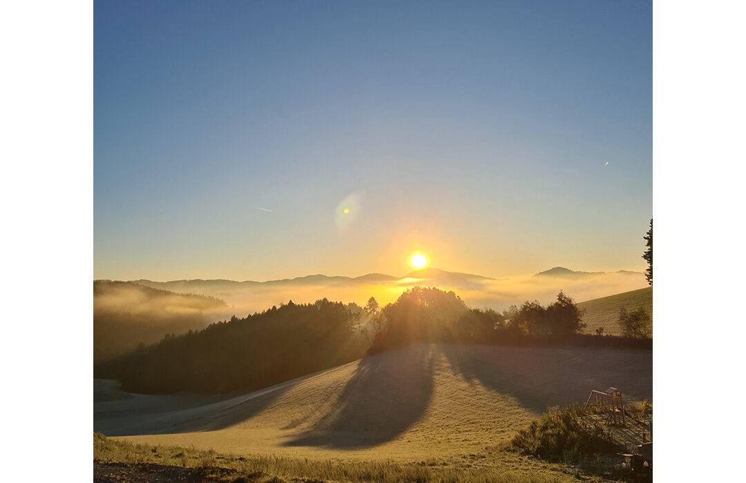 Roswitha Pree - Sonnaufgang im Morgennebel