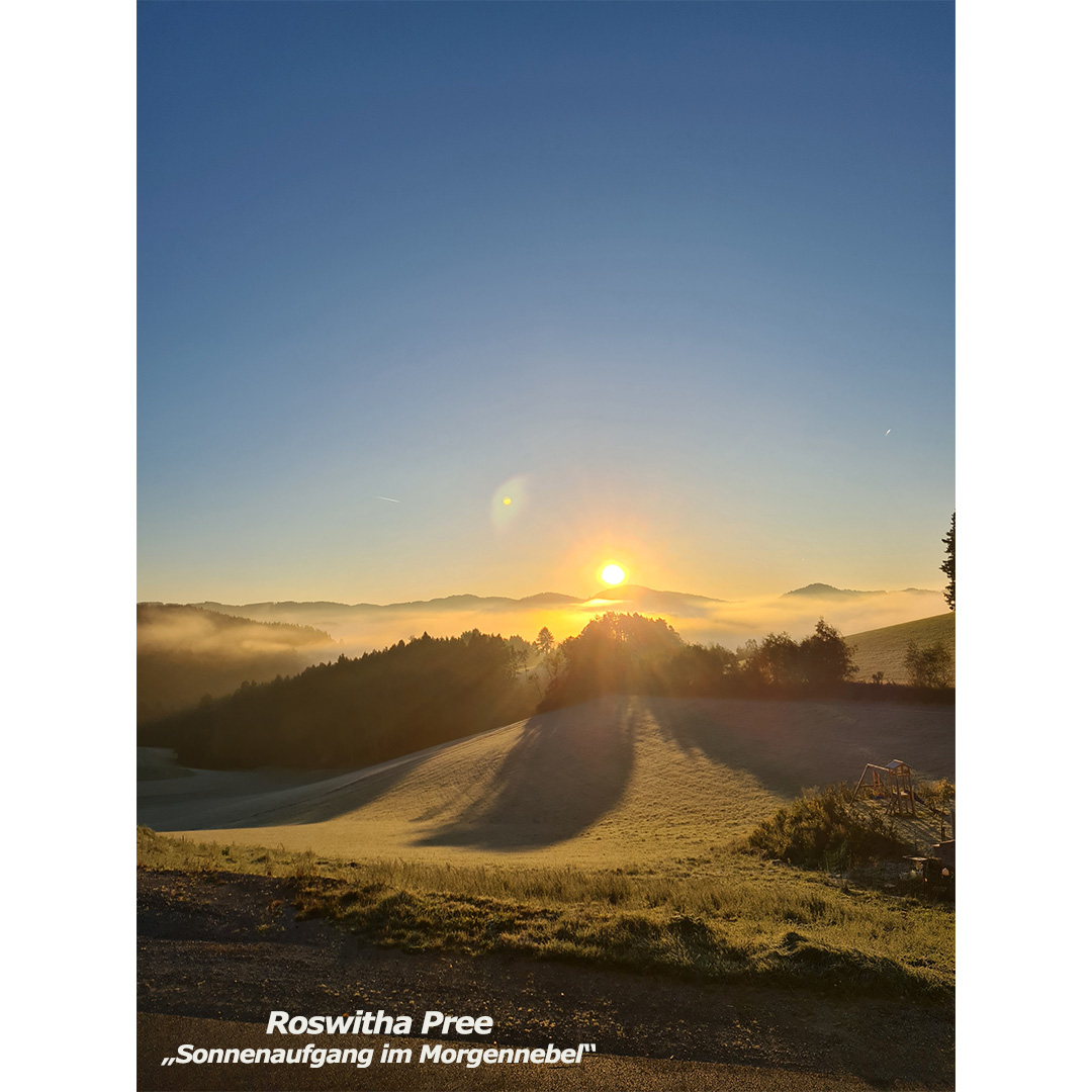 pree roswitha - sonnenaufgang im morgennebel - web