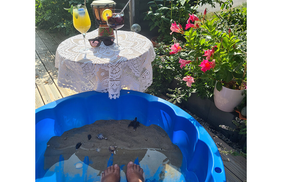 Roswitha Pree - Urlaub auf Terrassien
