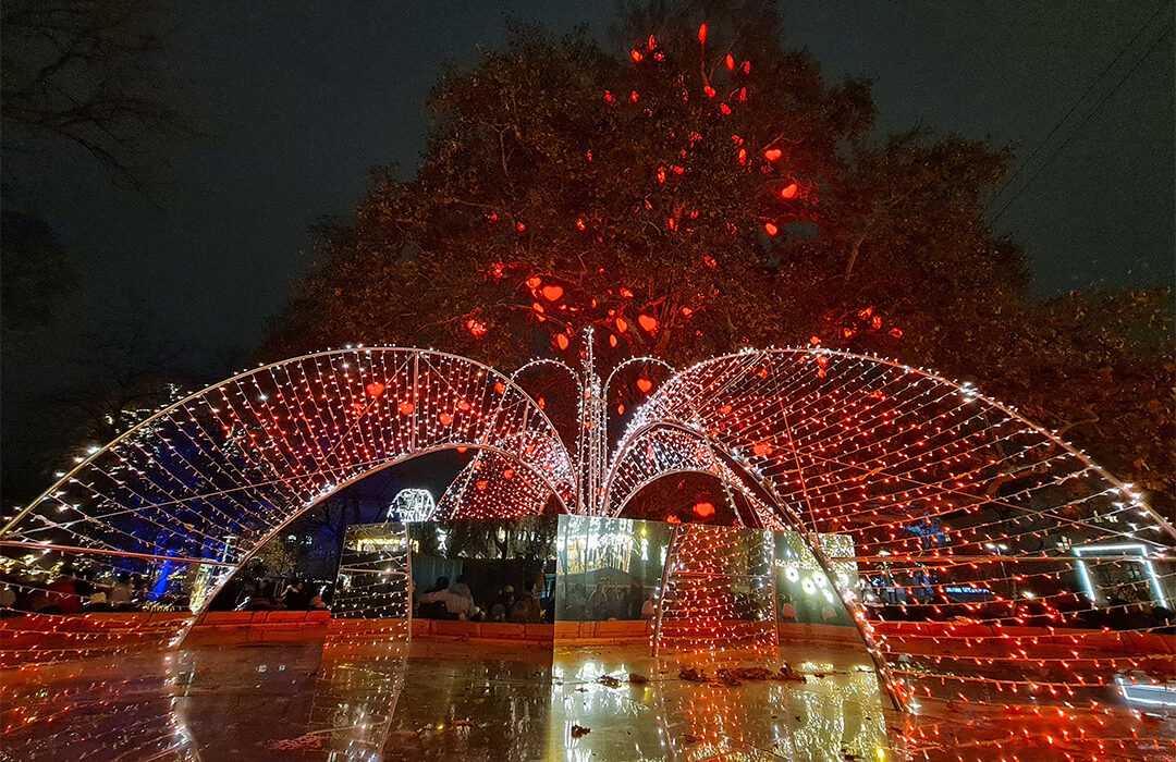 Platz 3 - Magarete Kern - Weihnachtslichter