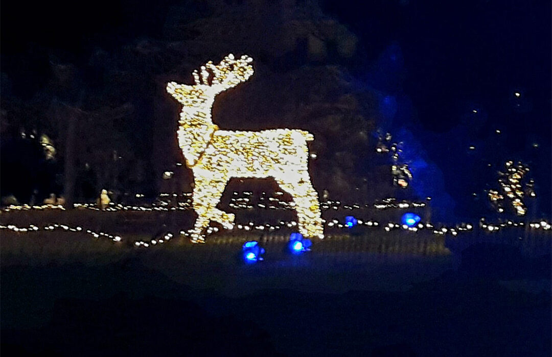 Manfred Pichler - Weihnachten