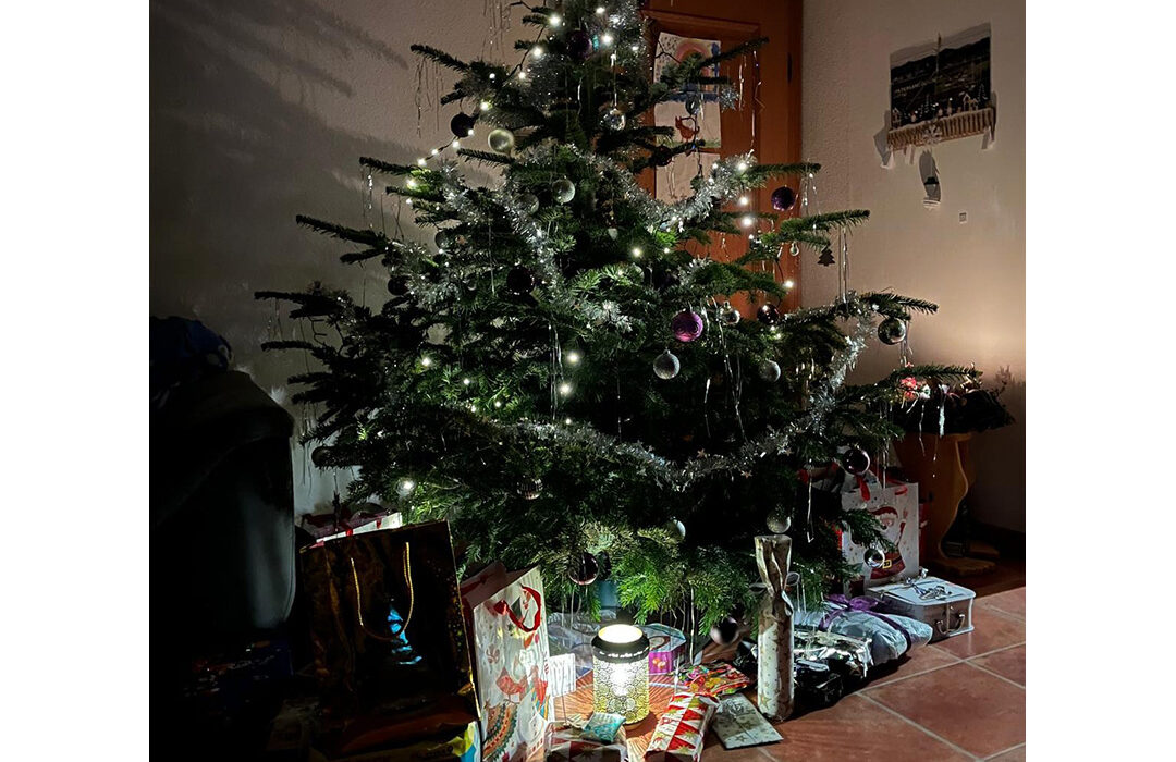 Roswitha Pree - Christbaum