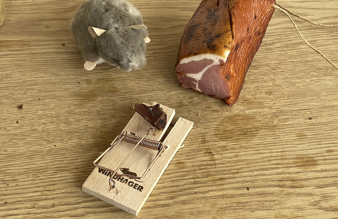 Platz 2 - Hans Hennebichler - Mit Speck fängt man Mäuse