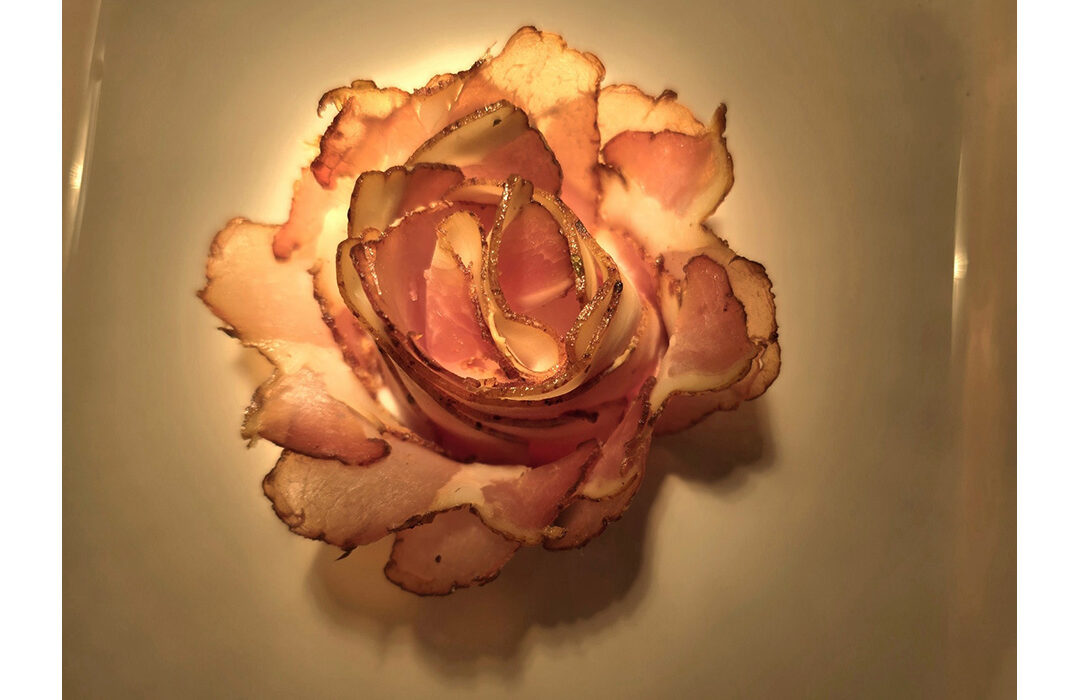 Margarete Kern - Speckrose