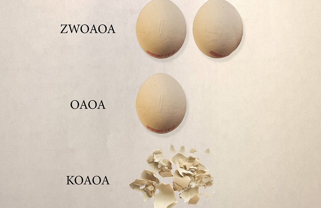 Alexander David - Oa - 3. Platz