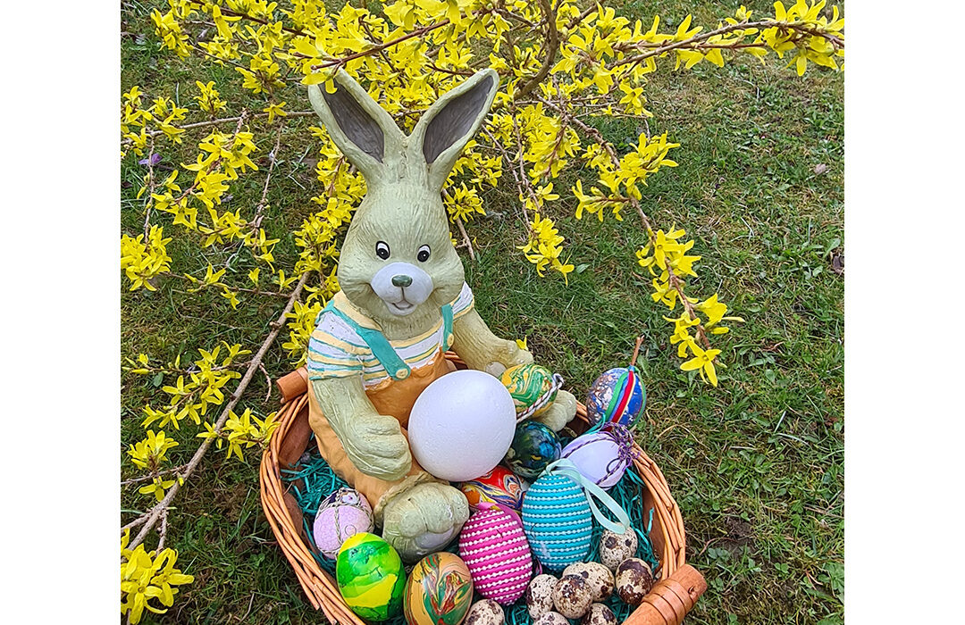 Roswitha Pree - Wie gefallen dir meine Eier?